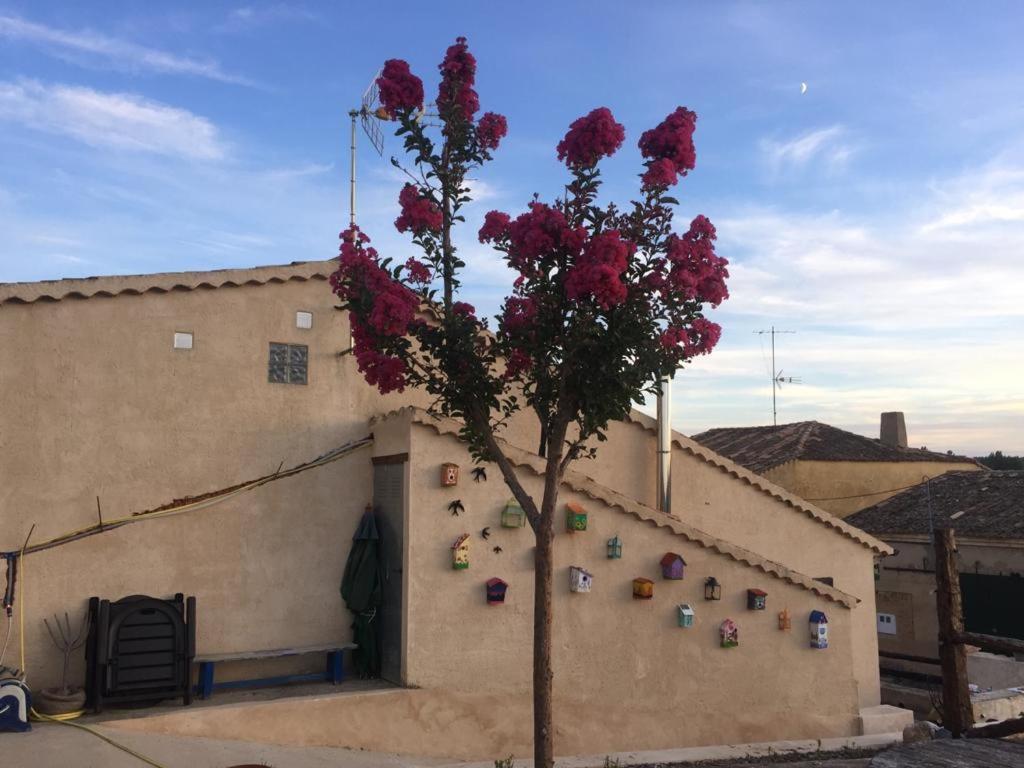 Casa Rural La Charolesa Aguilera エクステリア 写真